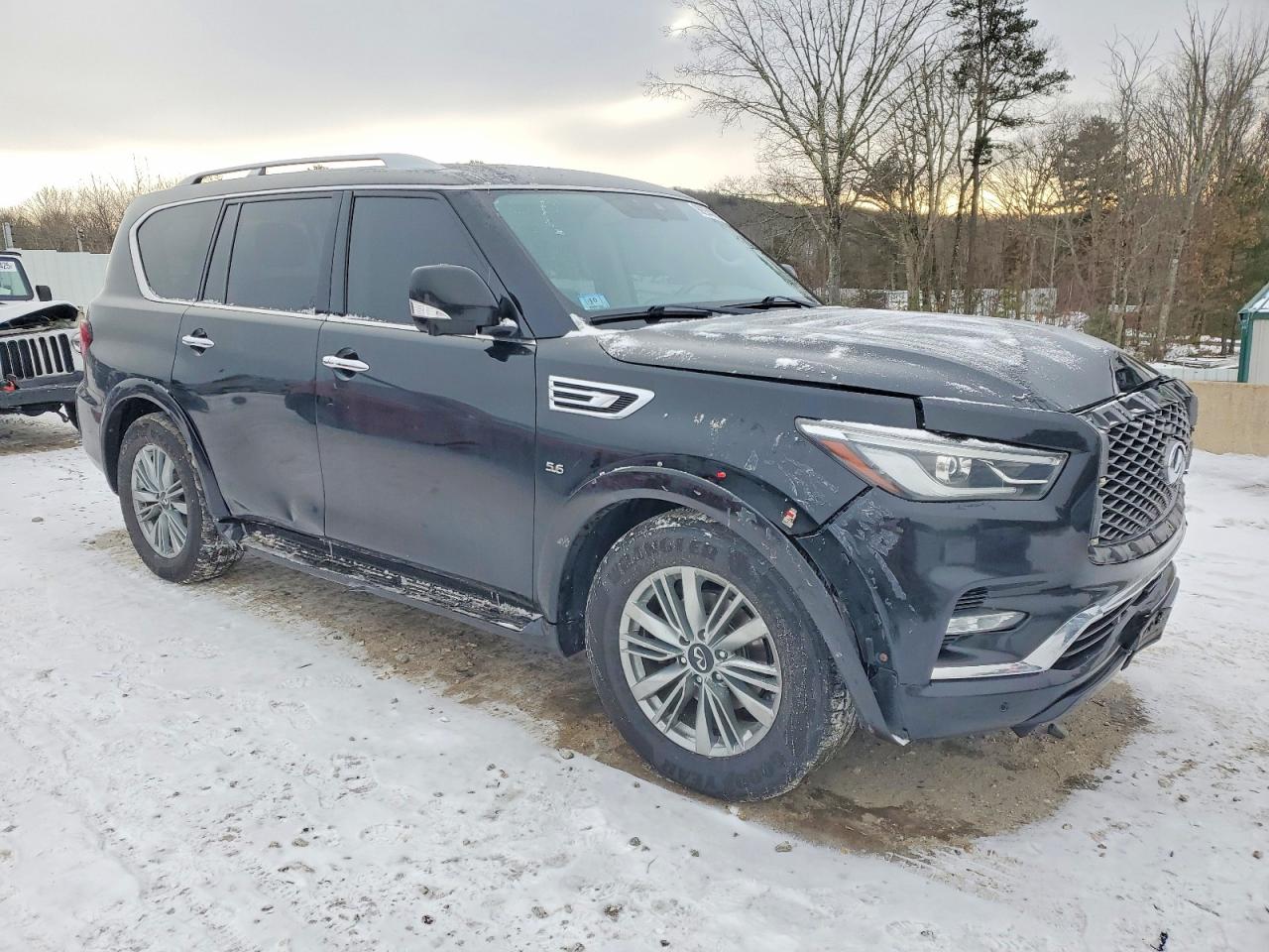 2019 INFINITI QX80 LUXE photo 4