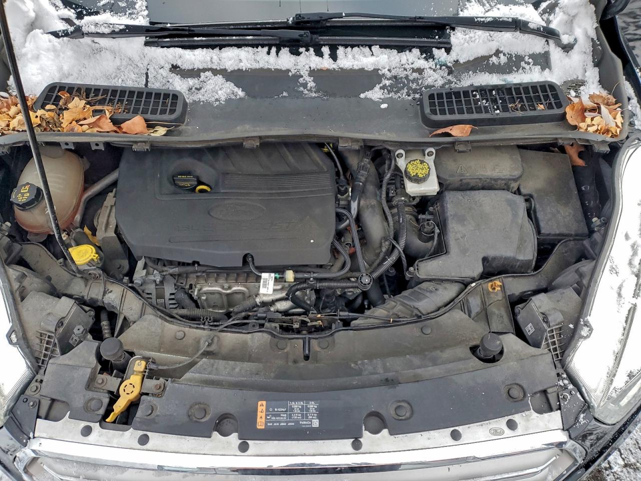 2018 FORD ESCAPE SEL photo 11