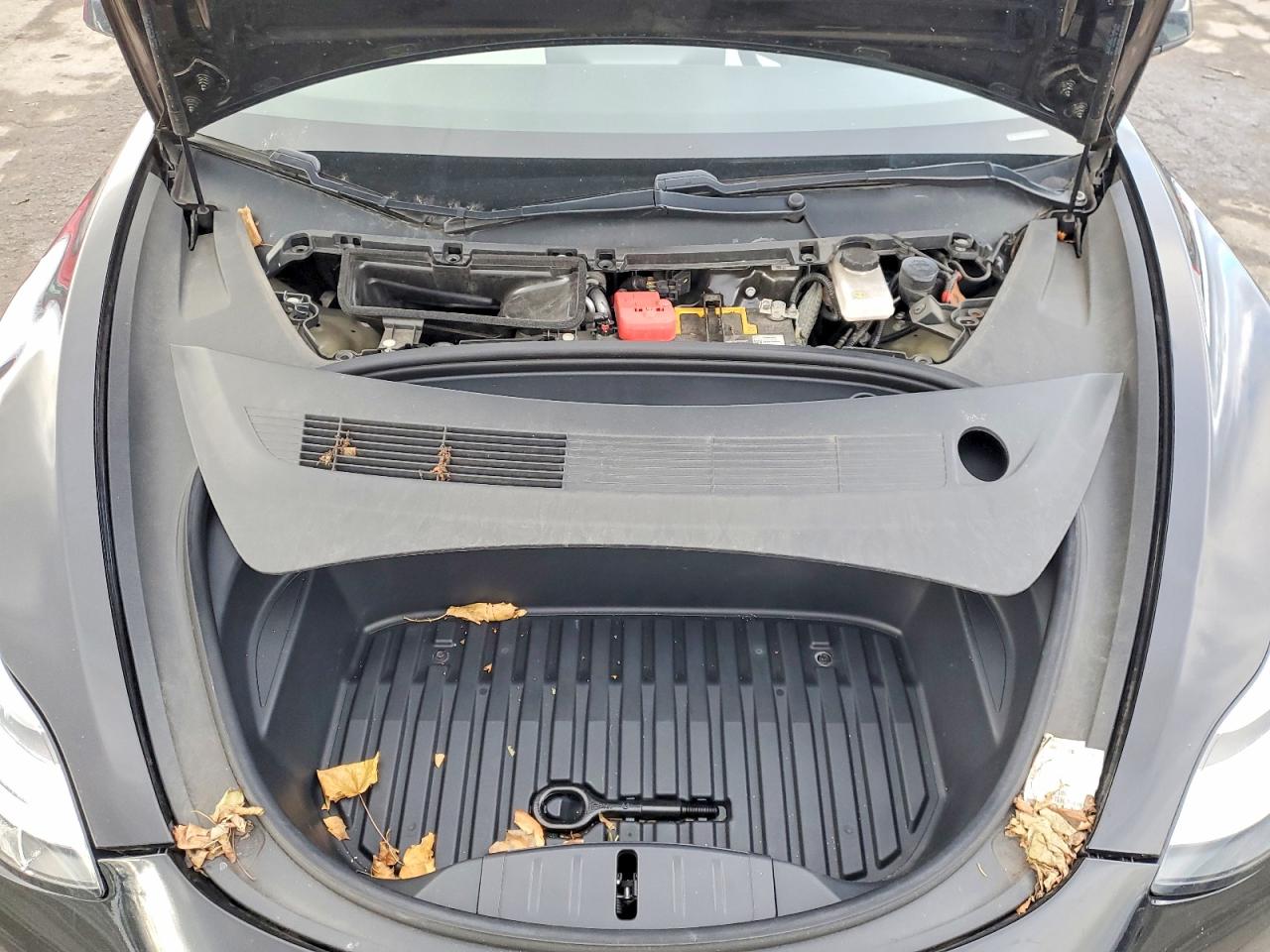 2021 TESLA MODEL 3 photo 11