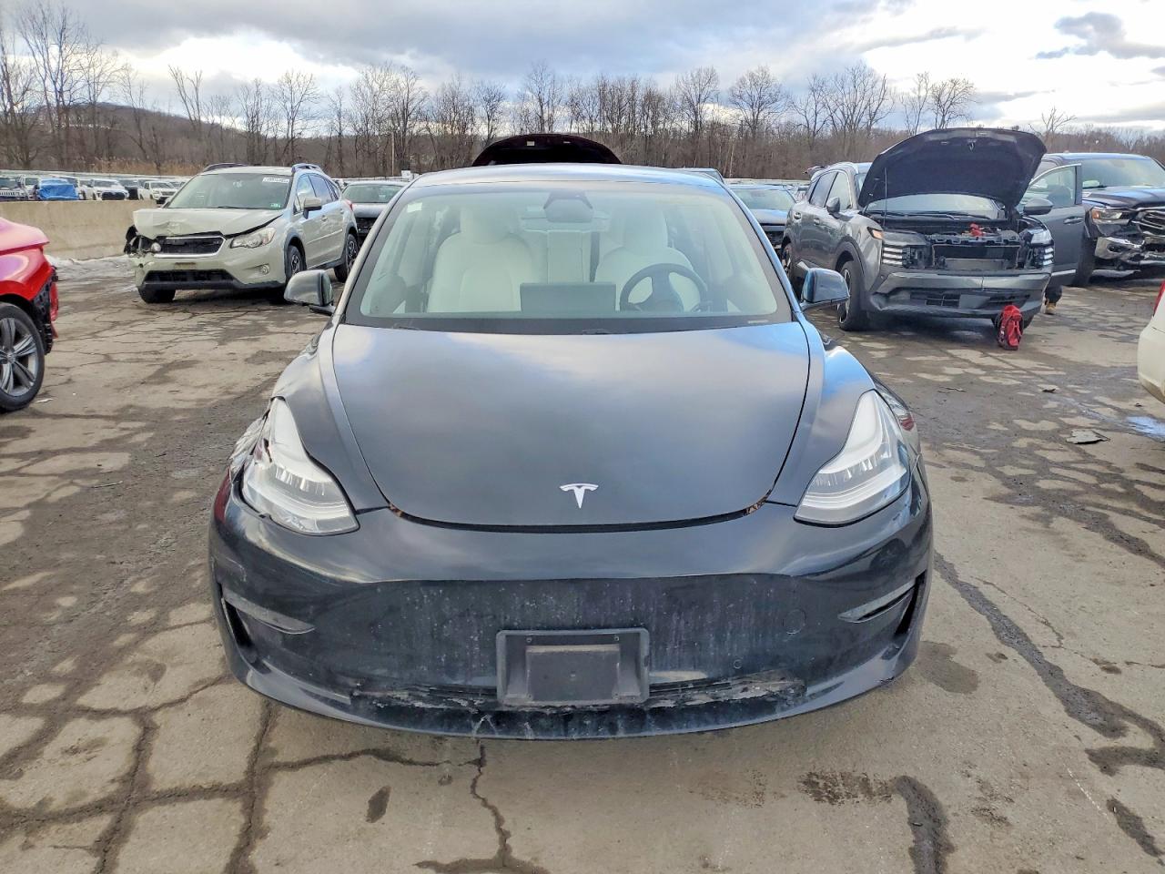 2021 TESLA MODEL 3 photo 5