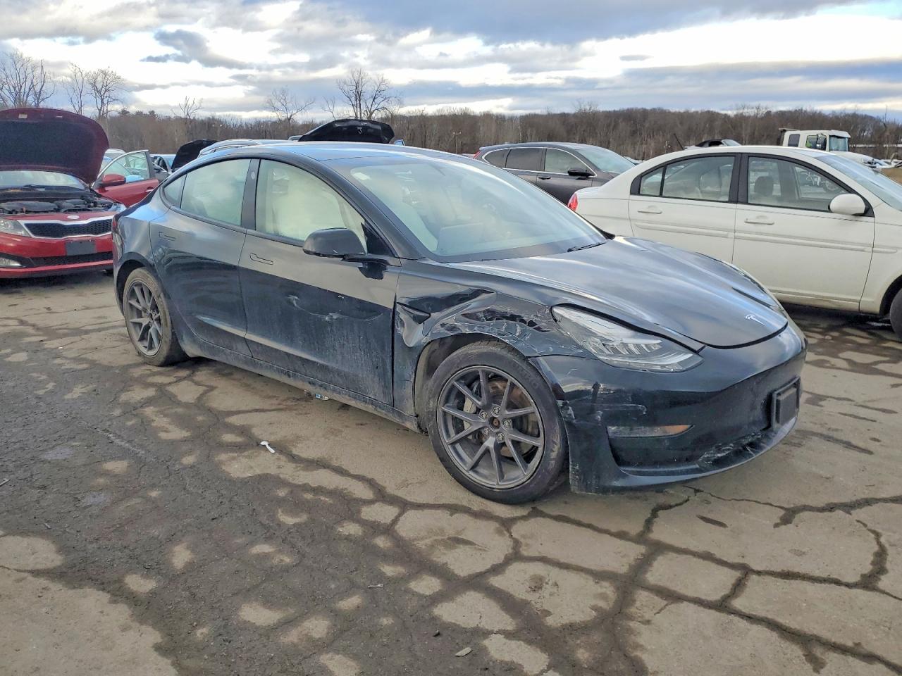 2021 TESLA MODEL 3 photo 4