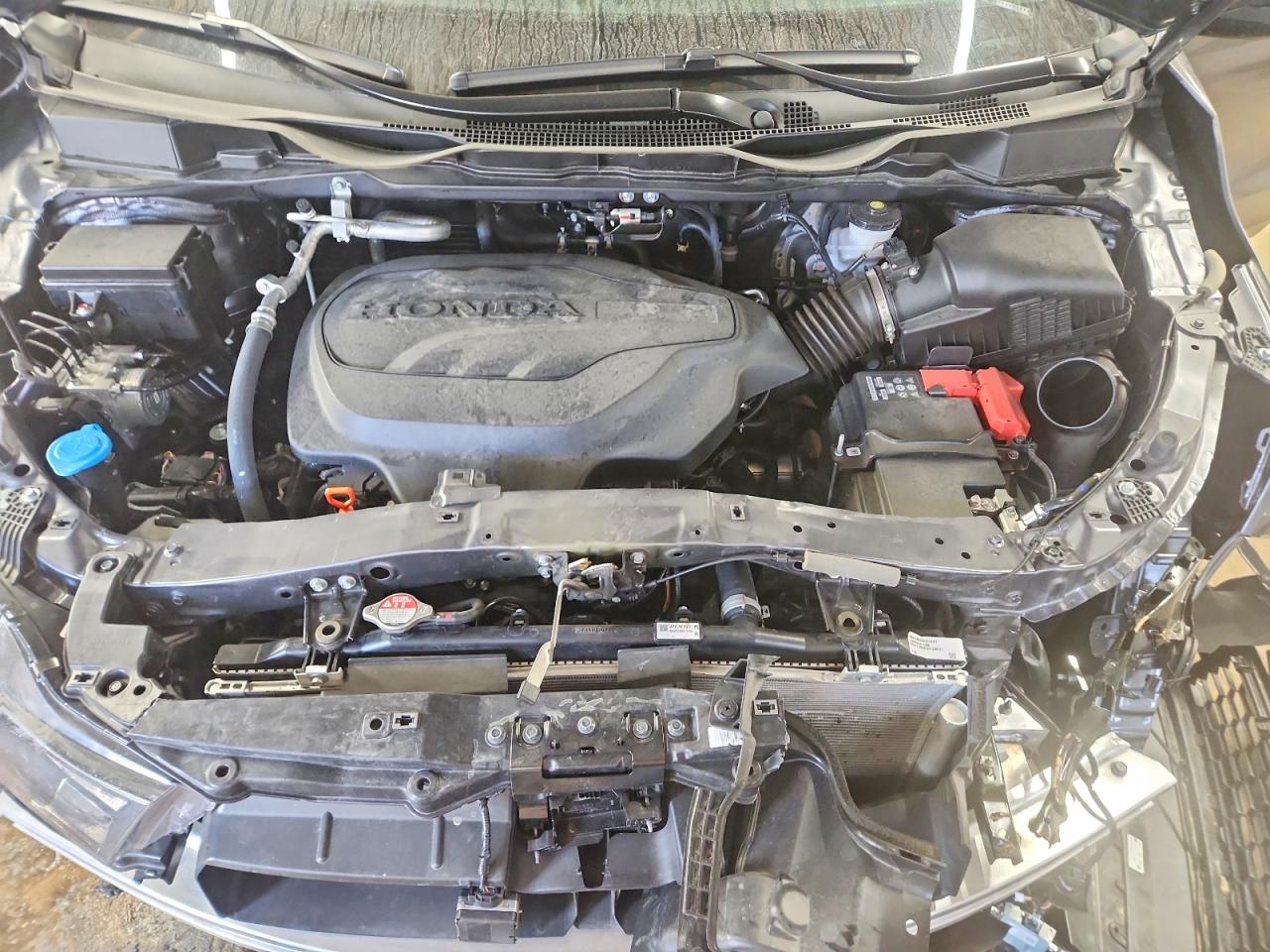 2025 HONDA ODYSSEY EXL photo 12