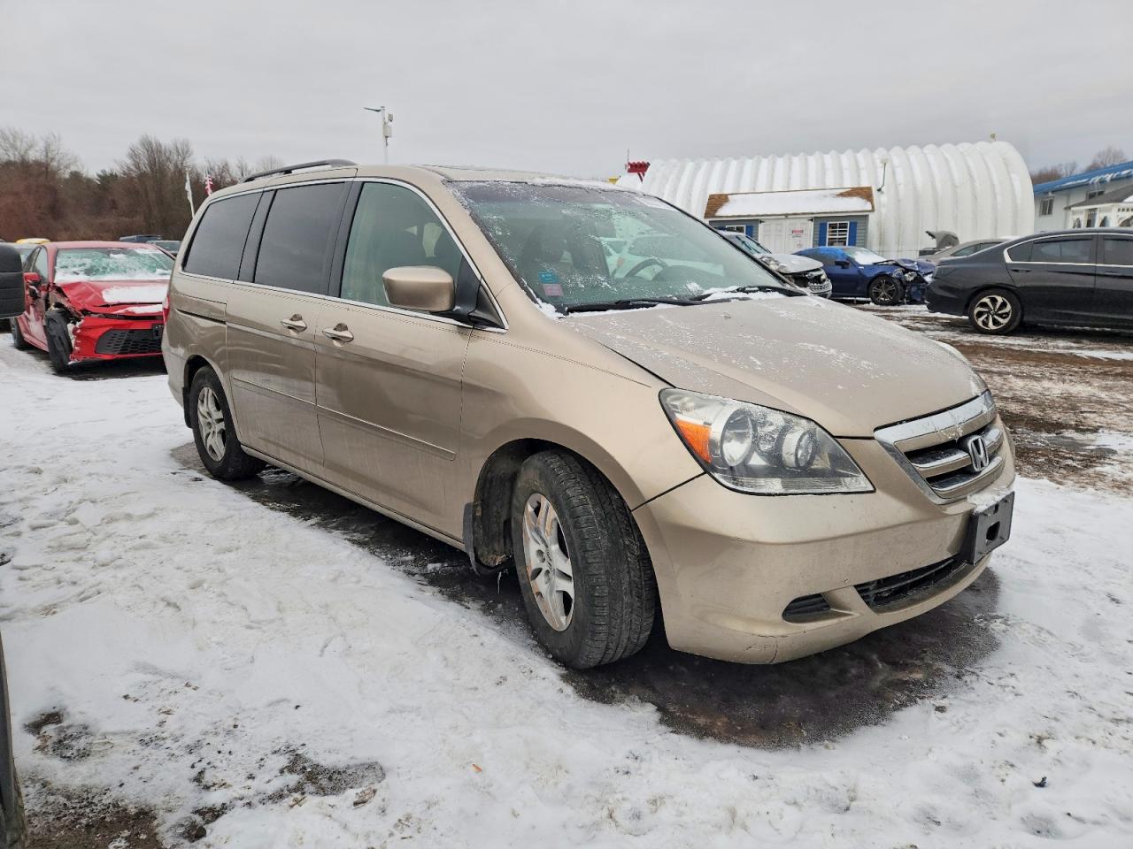 2006 HONDA ODYSSEY EXL photo 4