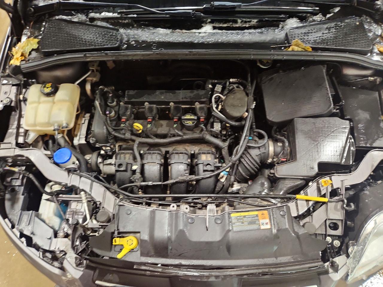 2014 FORD FOCUS SE photo 11