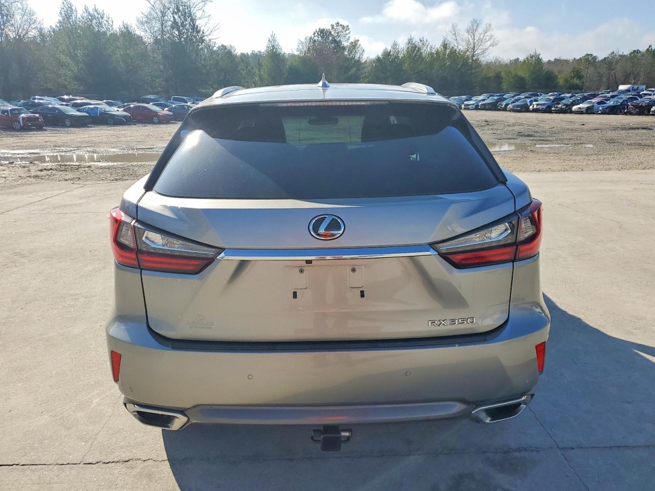 2017 LEXUS RX 350 BASE photo 6