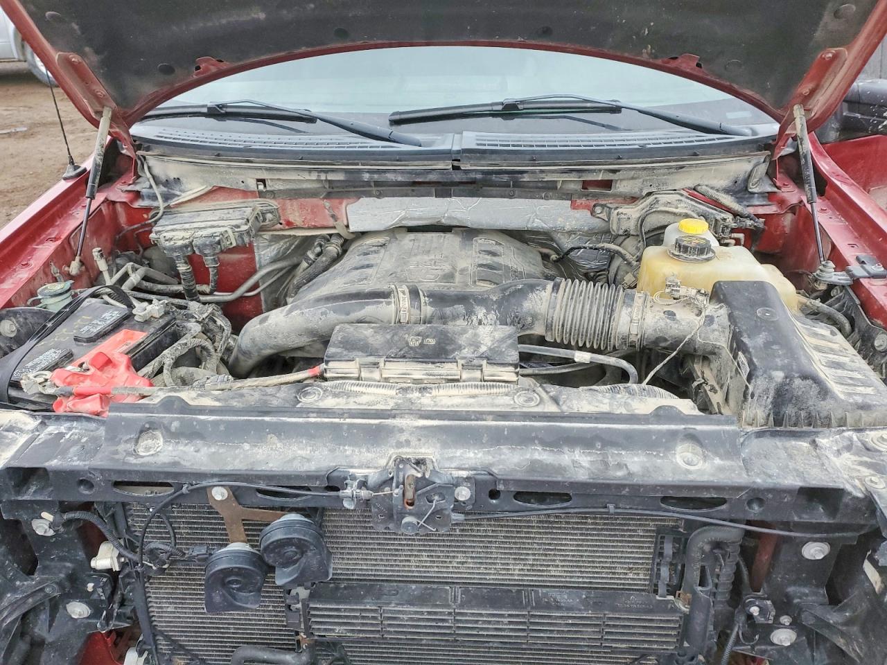 2014 FORD F150 SUPERCREW photo 11
