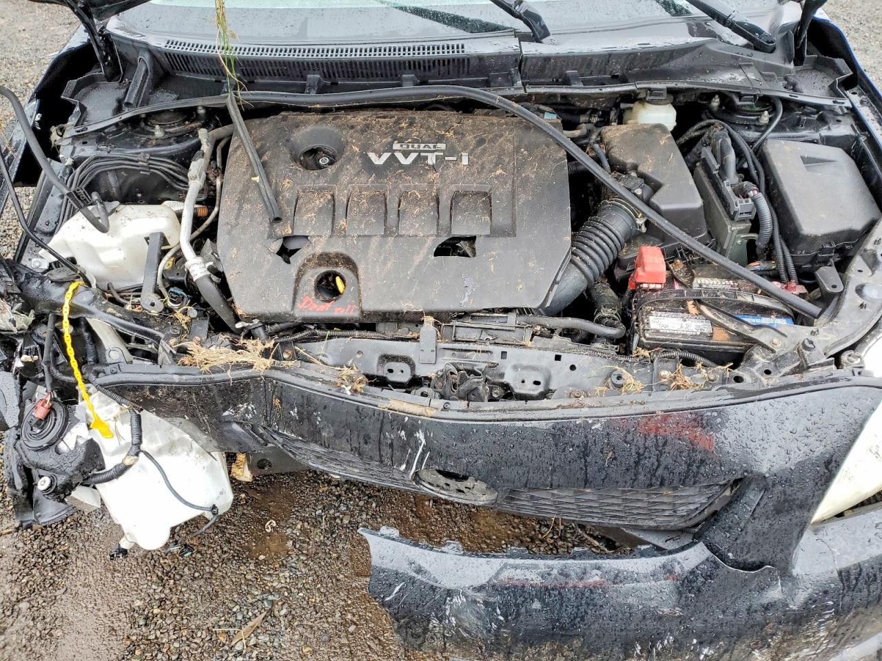 2009 TOYOTA COROLLA BASE photo 11