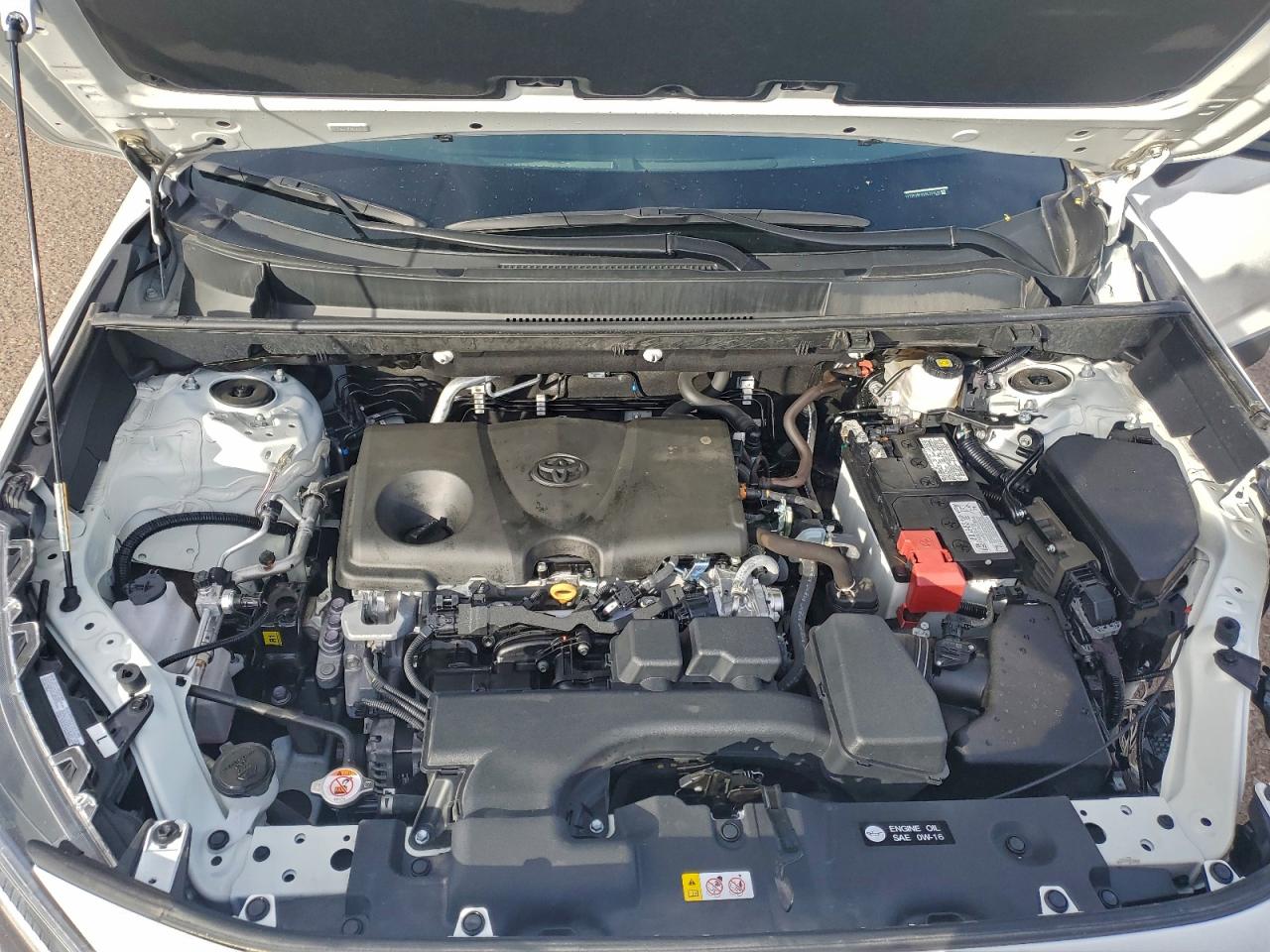 2025 TOYOTA RAV4 LE photo 12