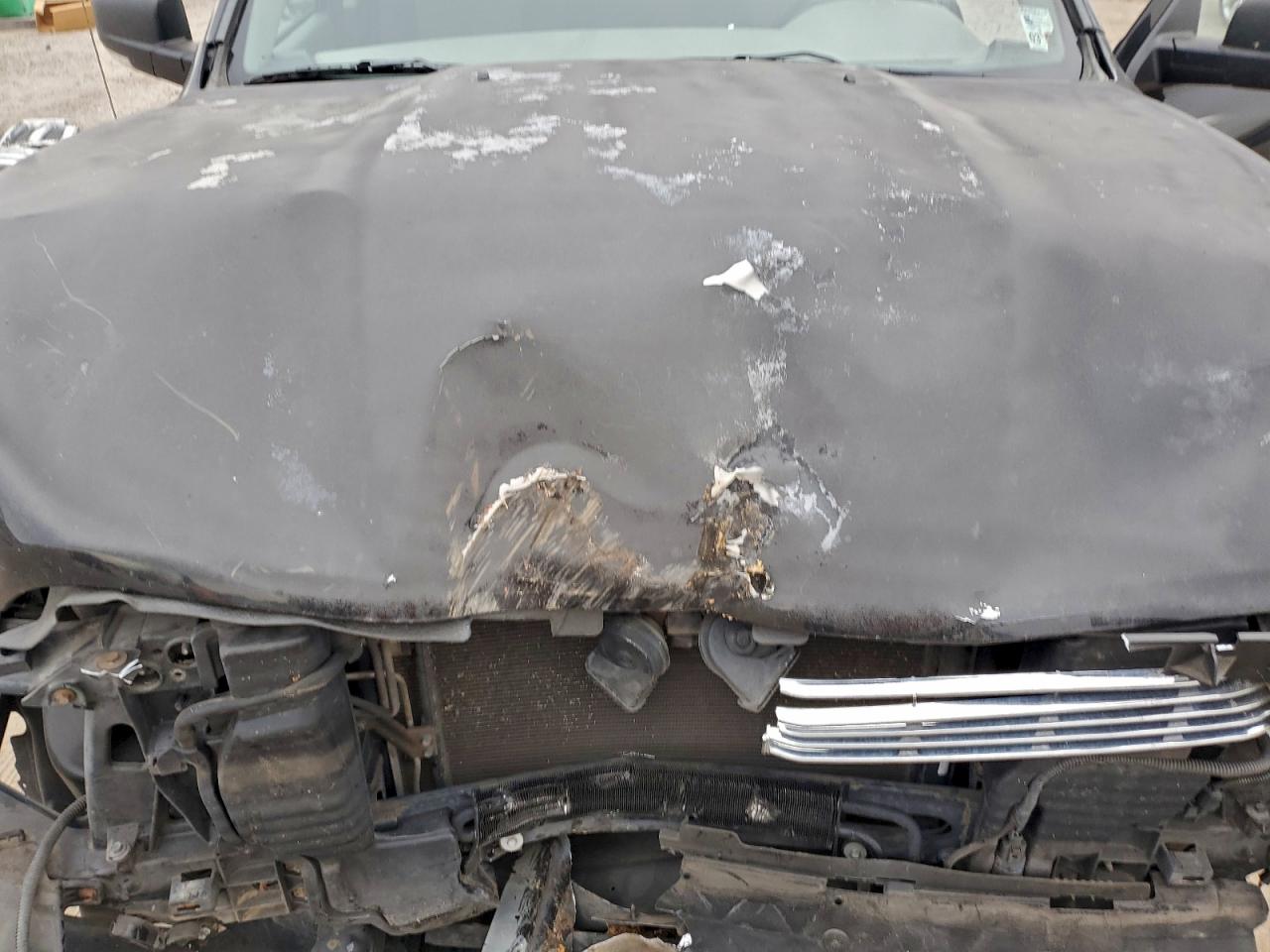 2011 DODGE RAM 1500 photo 11