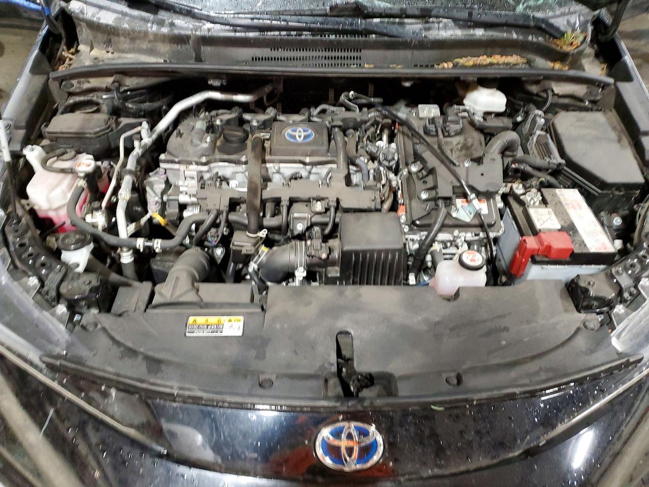 2023 TOYOTA COROLLA LE photo 11