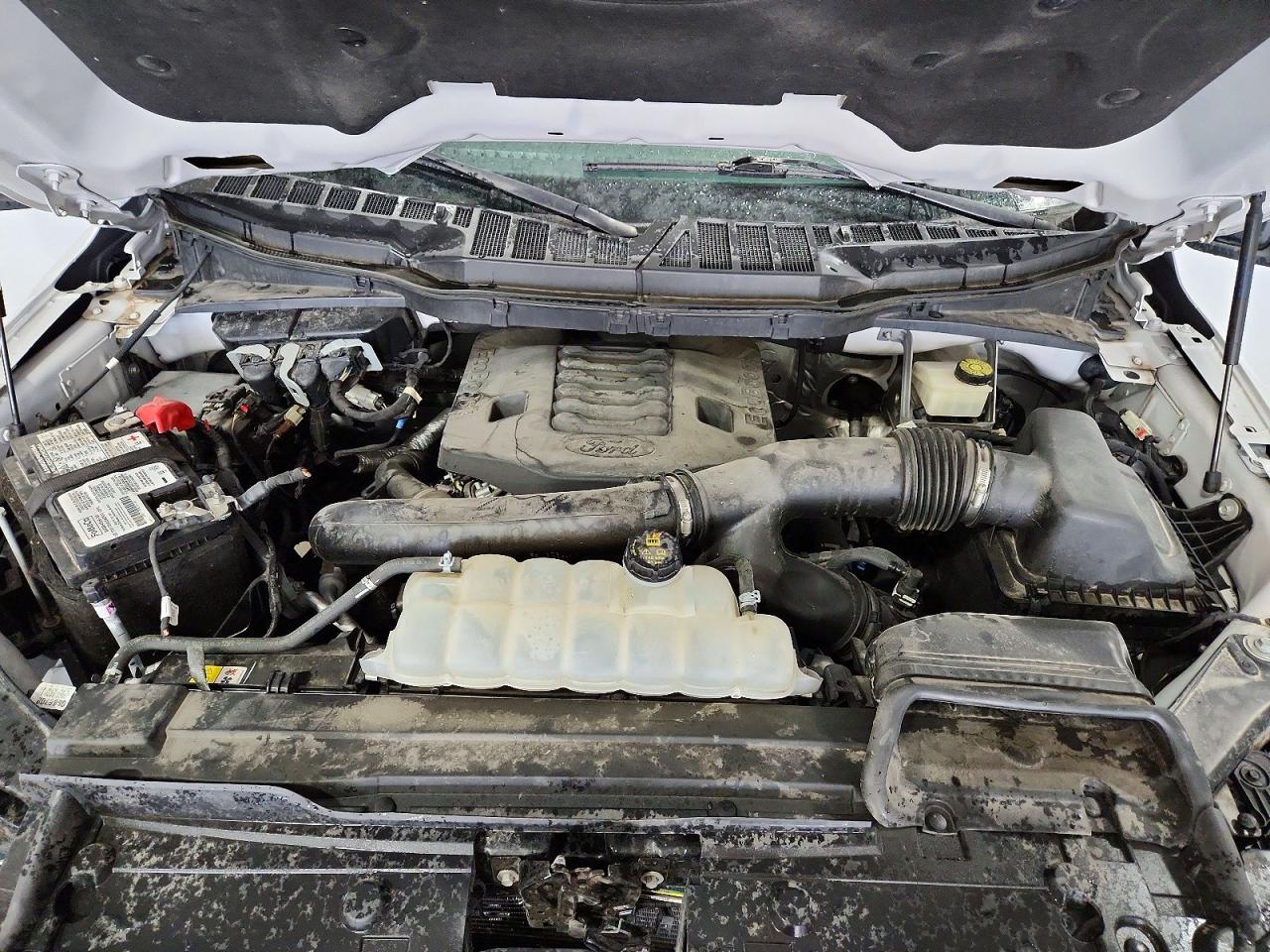 2021 FORD F150 SUPERCREW photo 11