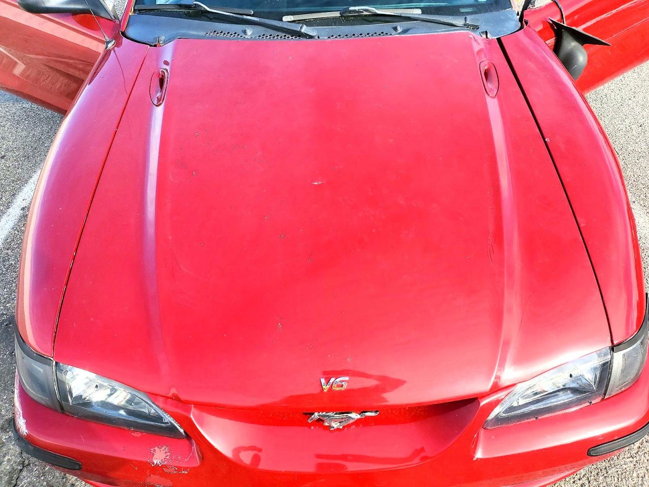 1998 FORD MUSTANG photo 11