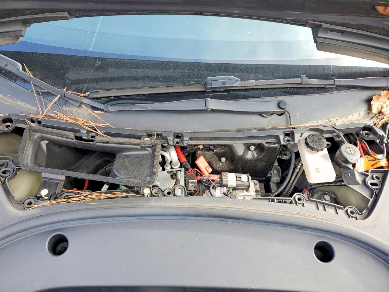 2022 TESLA MODEL 3 photo 11