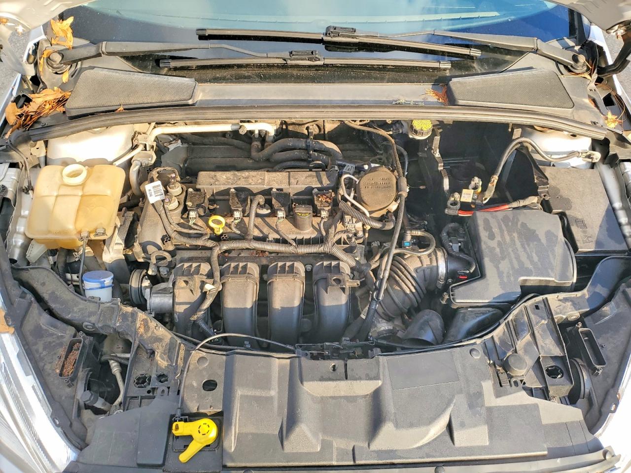 2015 FORD FOCUS SE photo 31