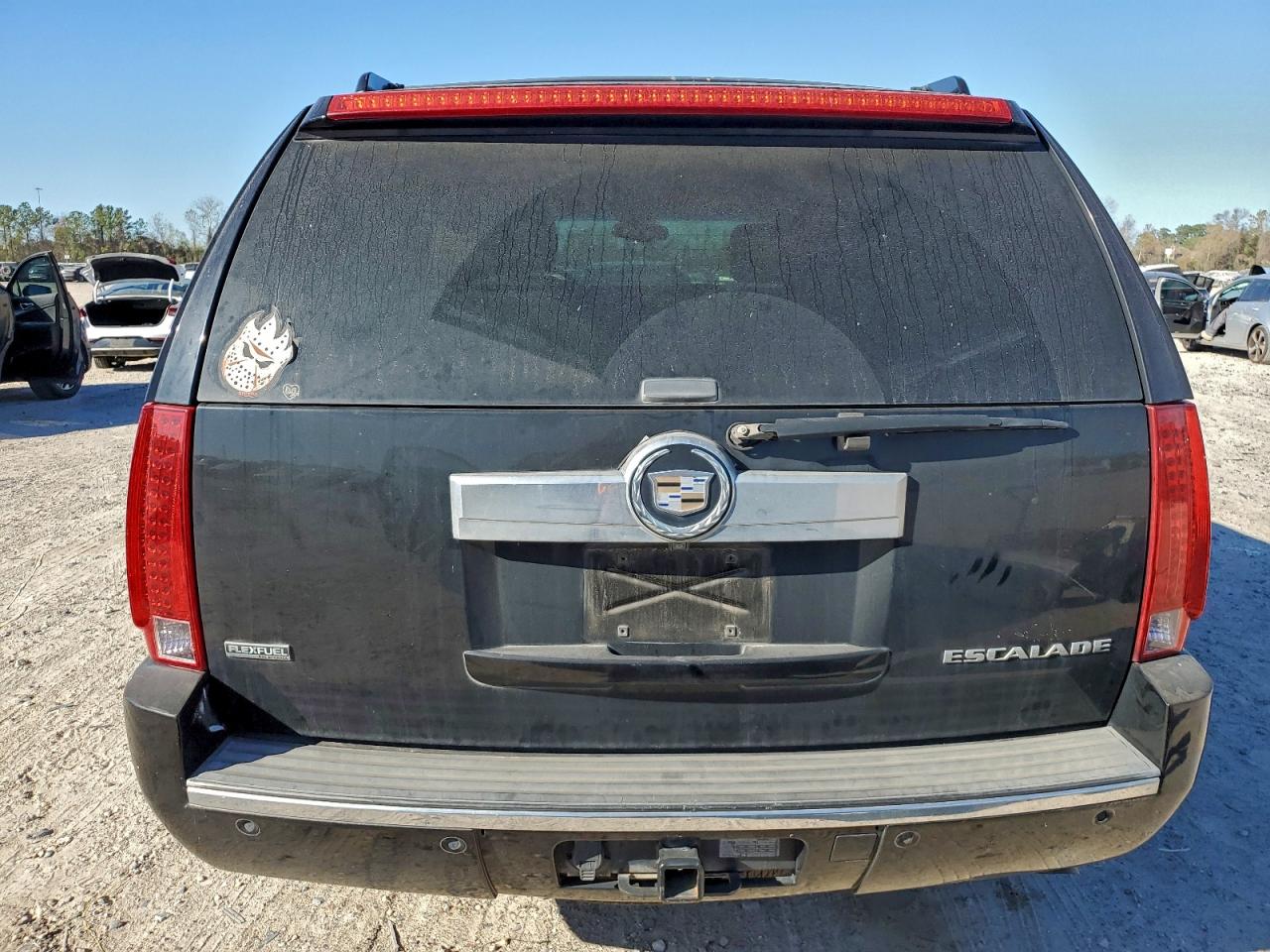 2010 CADILLAC ESCALADE LUXURY photo 6