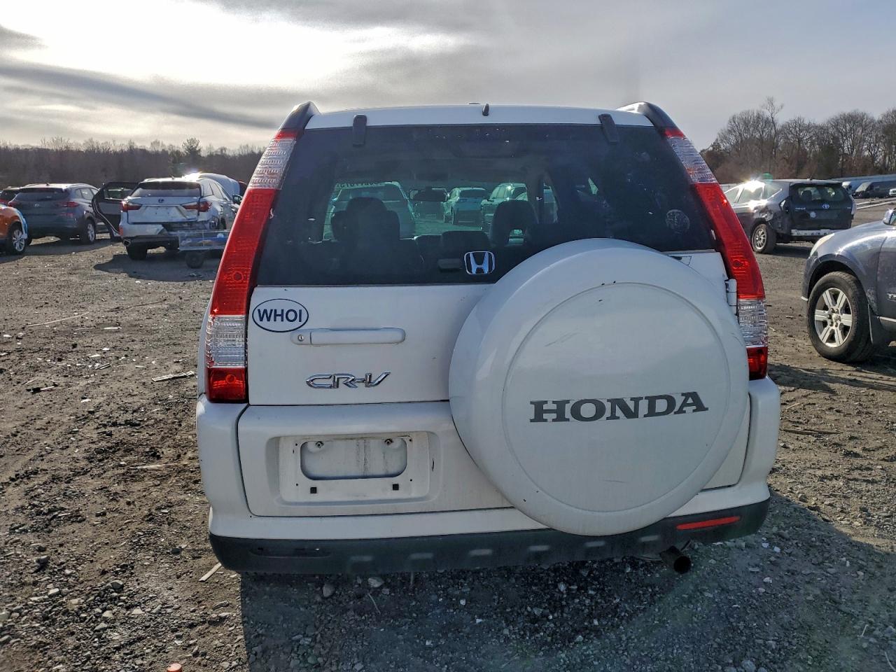 2005 HONDA CR-V SE photo 6