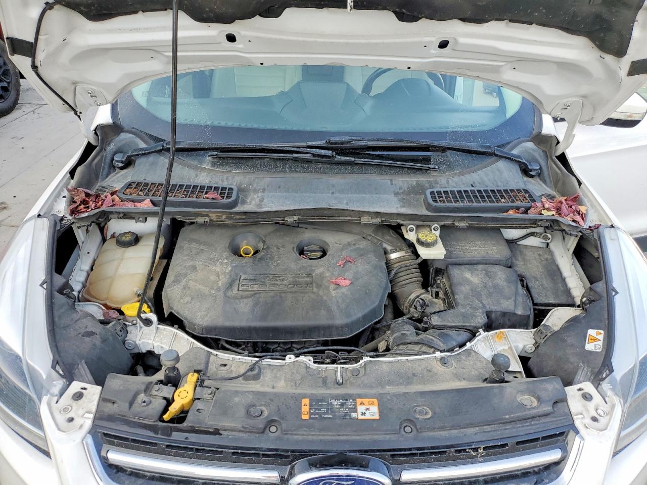 2014 FORD ESCAPE TITANIUM photo 12