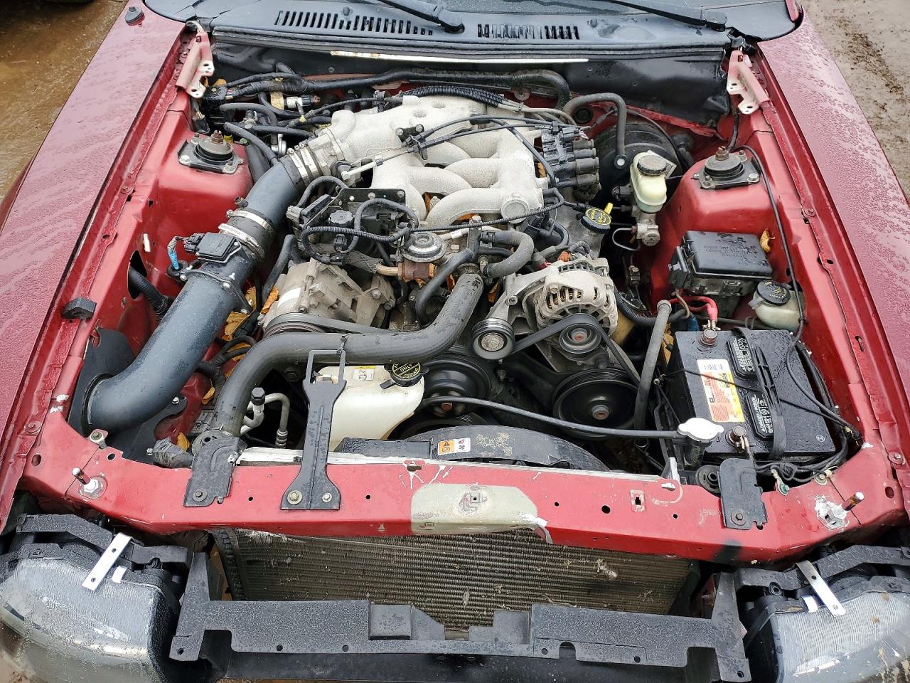 2004 FORD MUSTANG photo 11