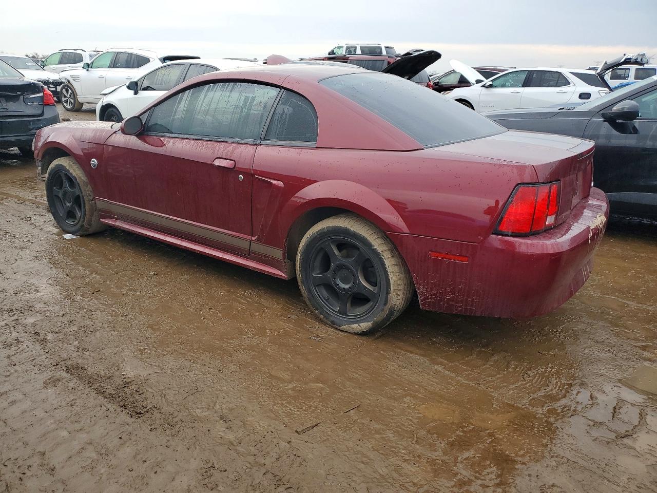 2004 FORD MUSTANG photo 2
