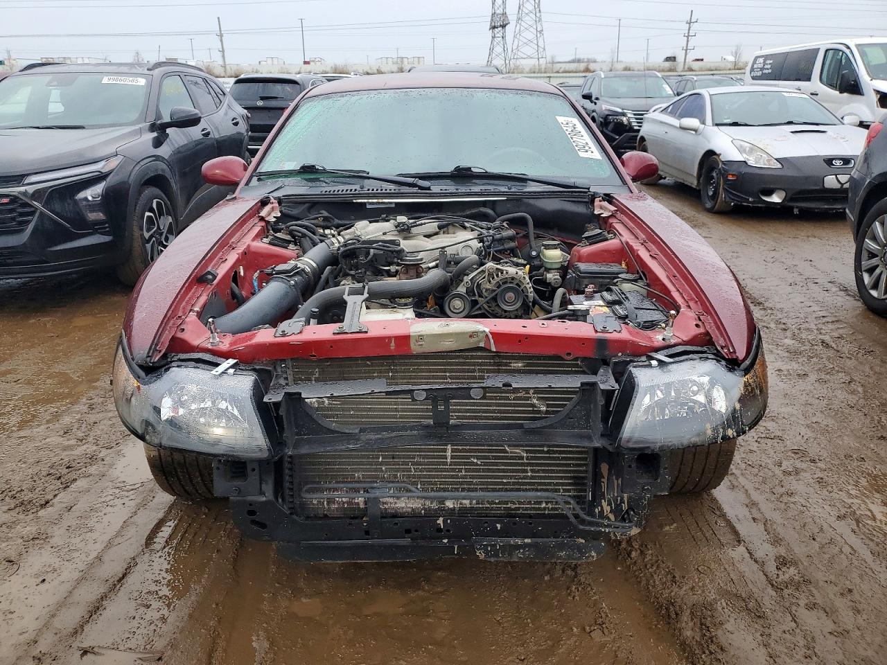 2004 FORD MUSTANG photo 5