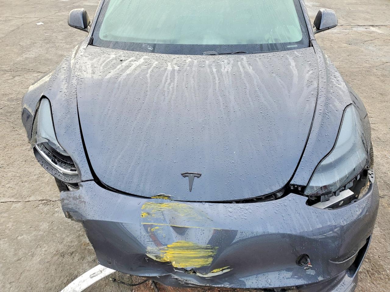 2019 TESLA MODEL 3 photo 11