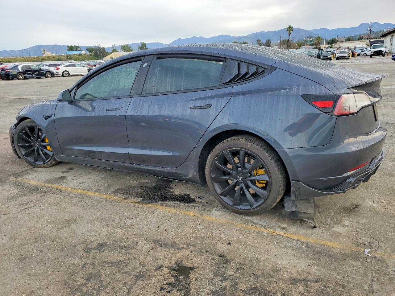 2019 TESLA MODEL 3 photo 2