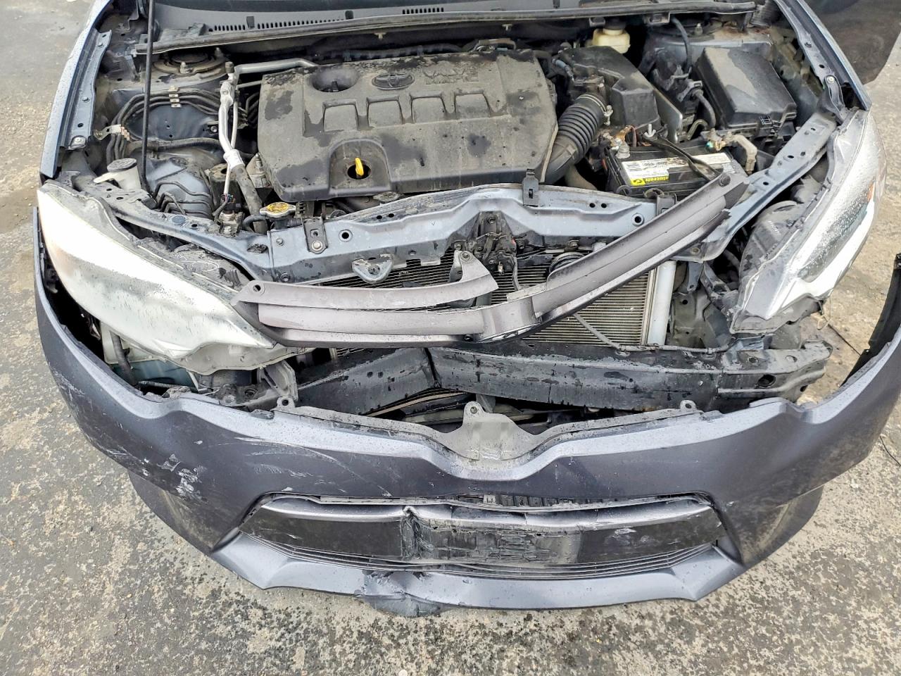 2016 TOYOTA COROLLA ECO photo 11