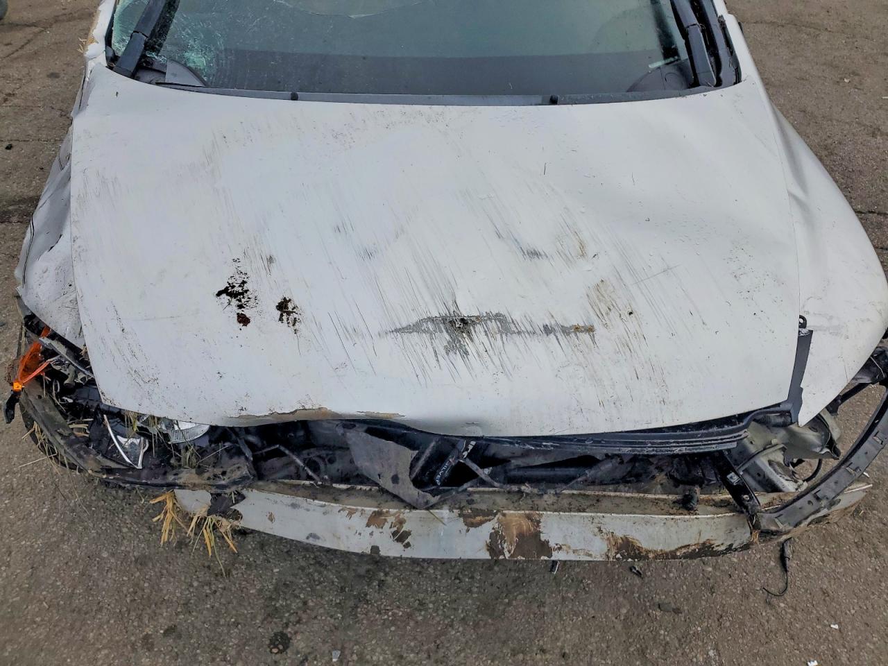 2008 HONDA CIVIC EXL photo 11