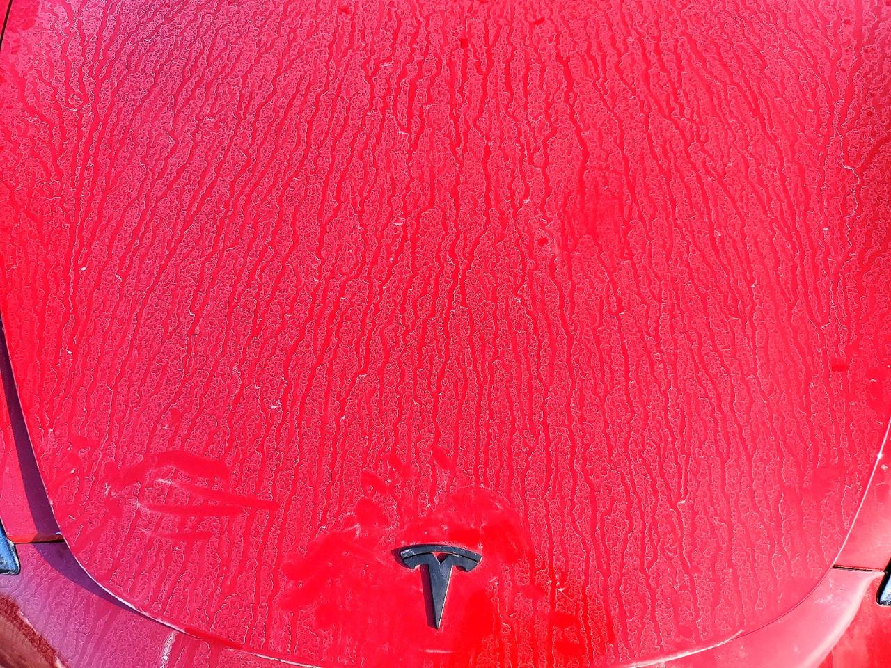 2023 TESLA MODEL 3 photo 11