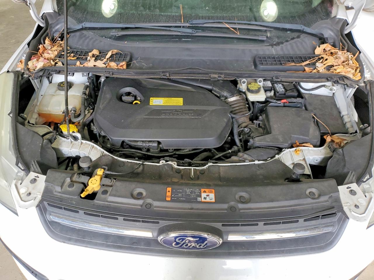 2014 FORD ESCAPE SE photo 12