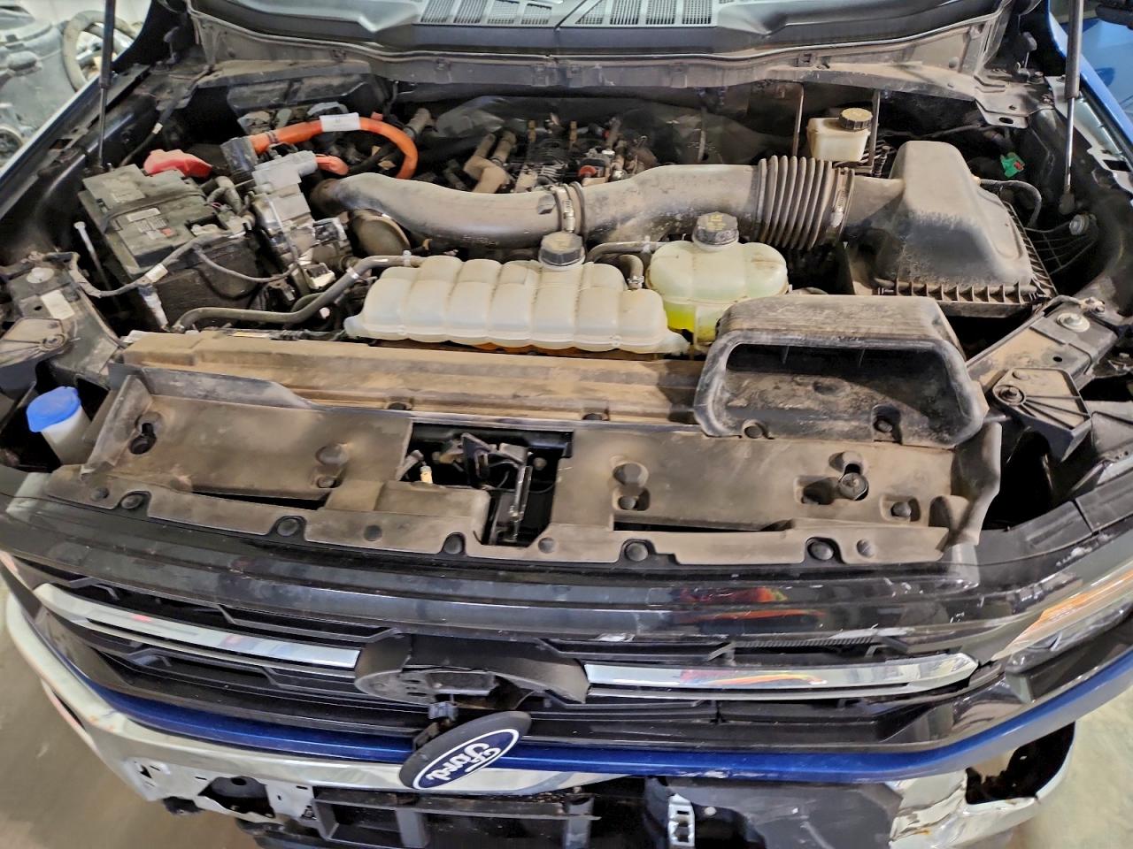 2024 FORD F150 XLT photo 11