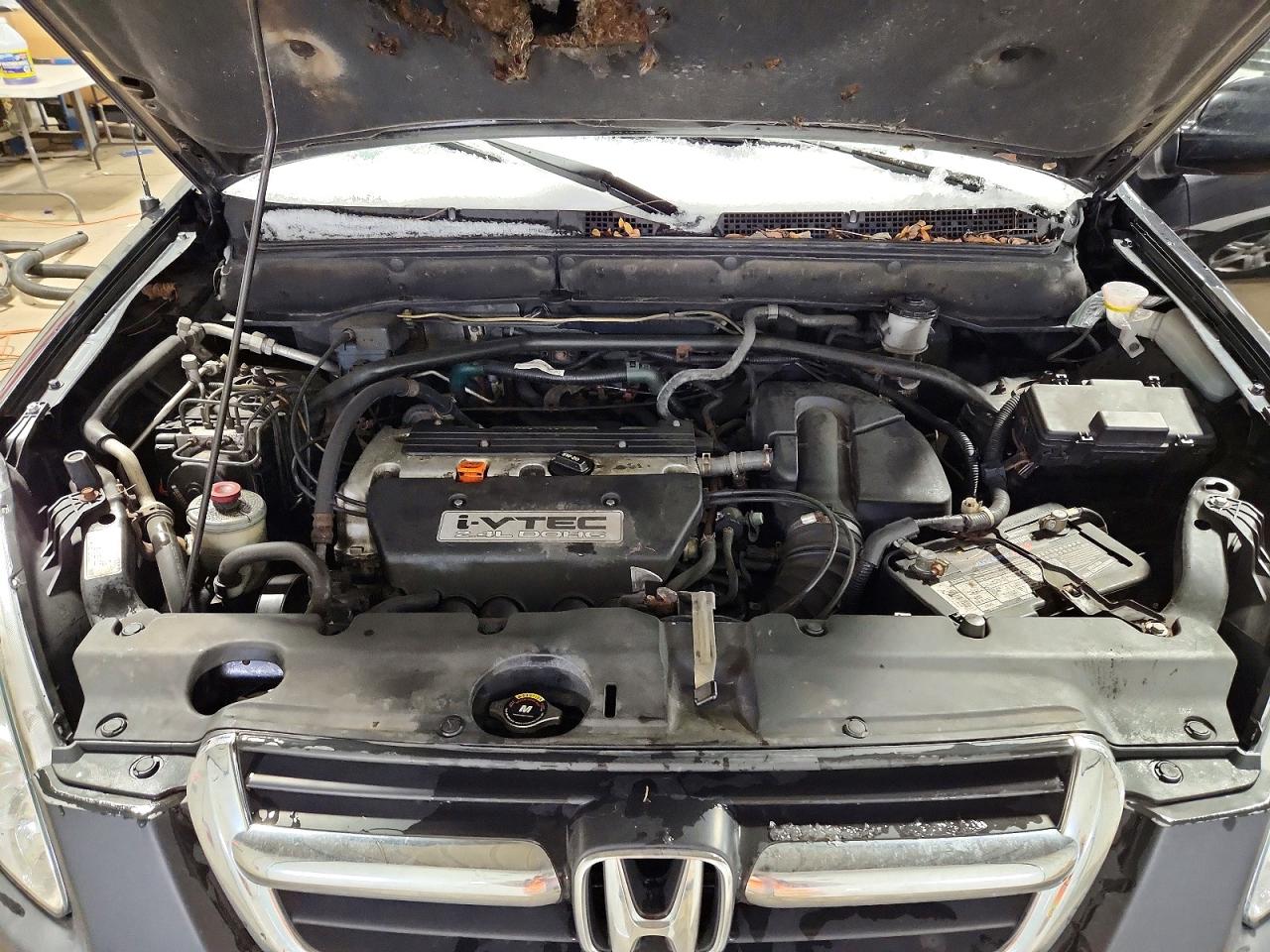 2003 HONDA CR-V EX photo 12
