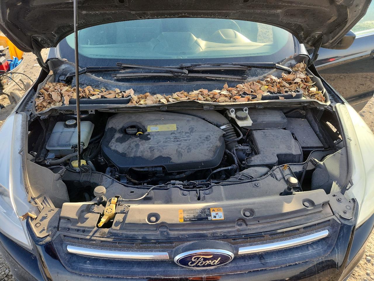 2013 FORD ESCAPE SE photo 11