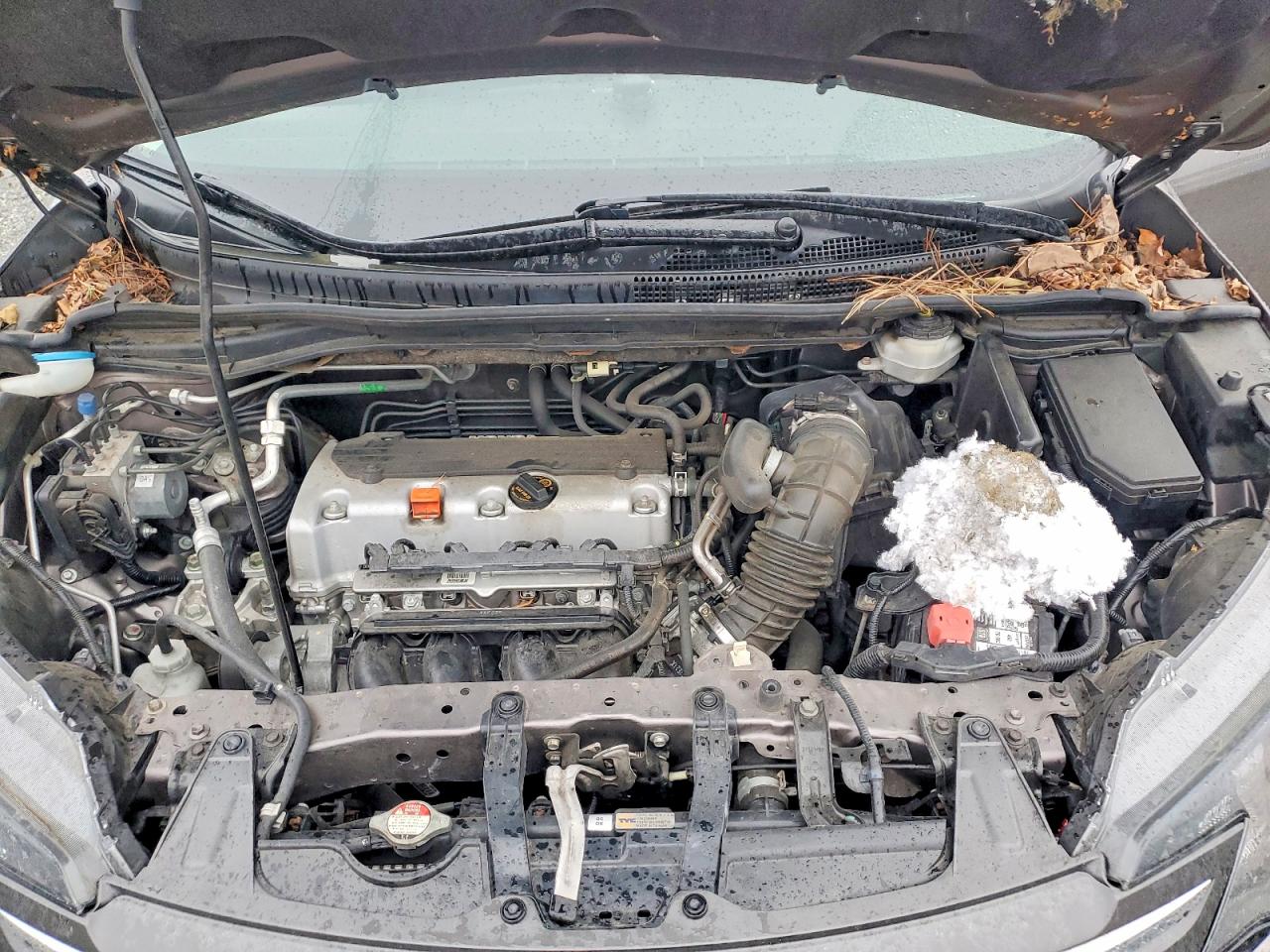 2013 HONDA CR-V EXL photo 12