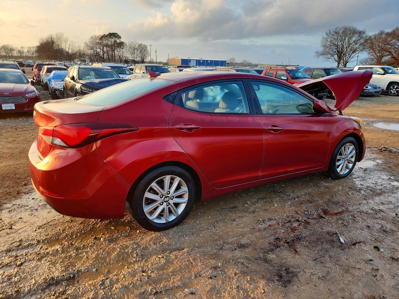 2014 HYUNDAI ELANTRA SE photo 3