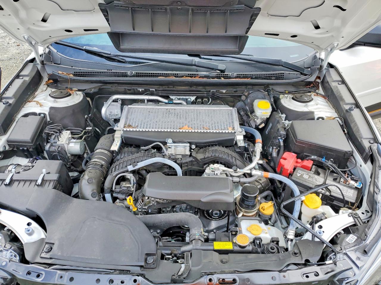 2025 SUBARU OUTBACK WILDERNESS photo 11