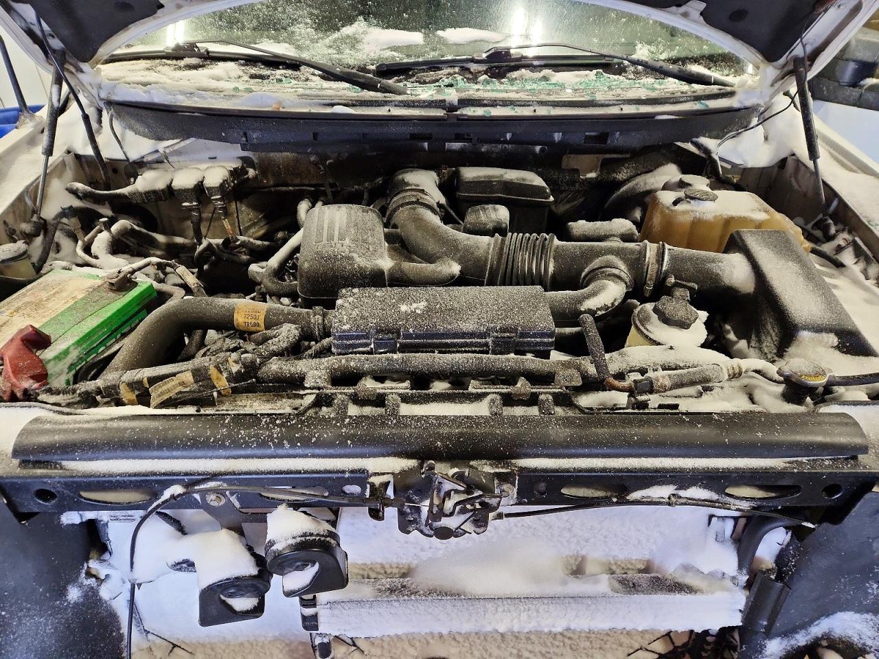 2009 FORD F150 SUPERCREW photo 11