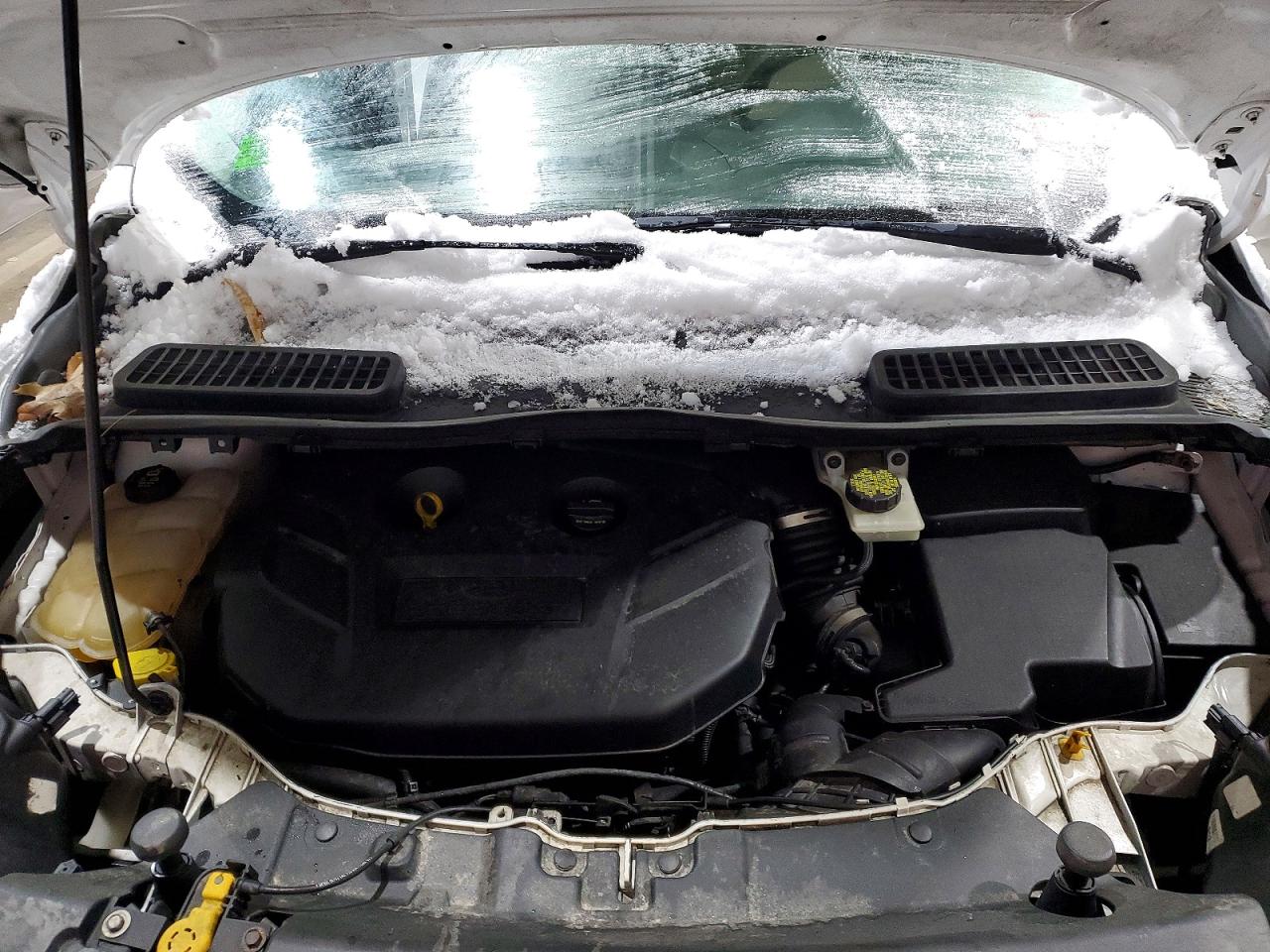 2016 FORD ESCAPE SE photo 12