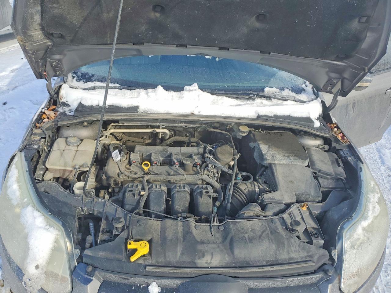 2014 FORD FOCUS SE photo 11