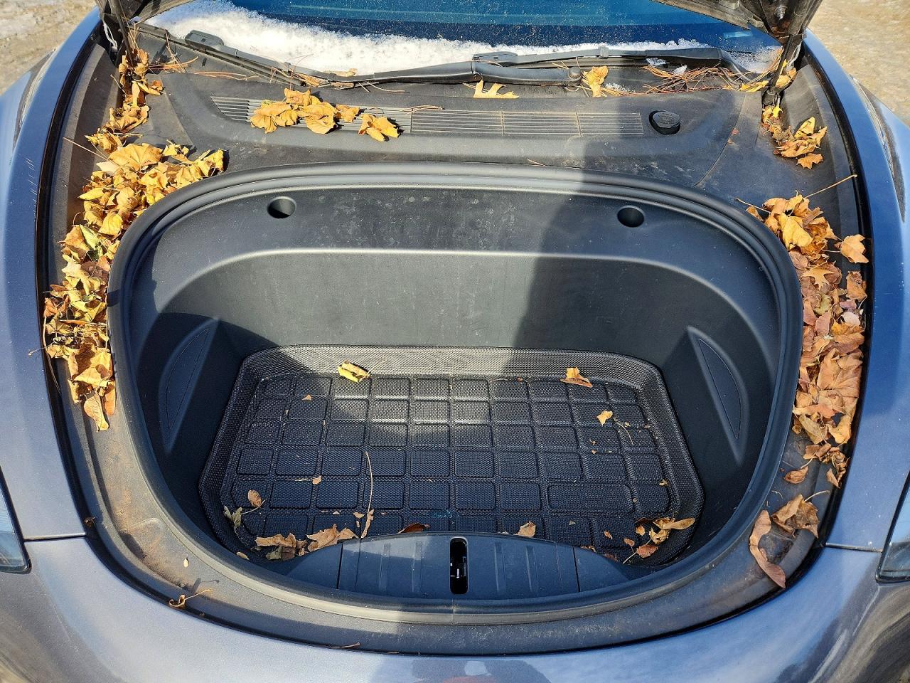 2022 TESLA MODEL 3 photo 11