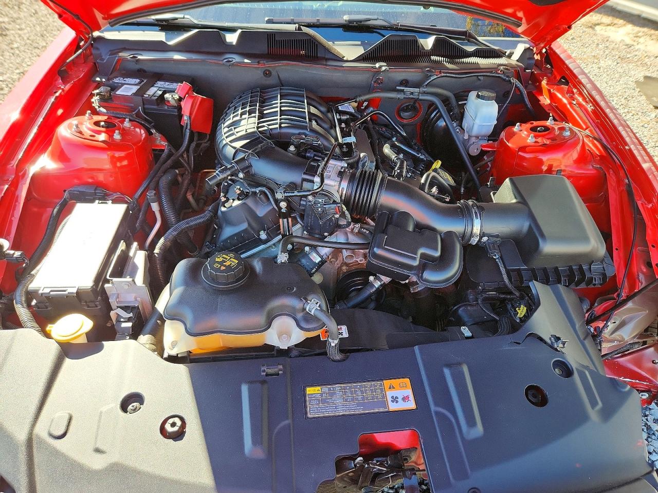 2014 FORD MUSTANG photo 11