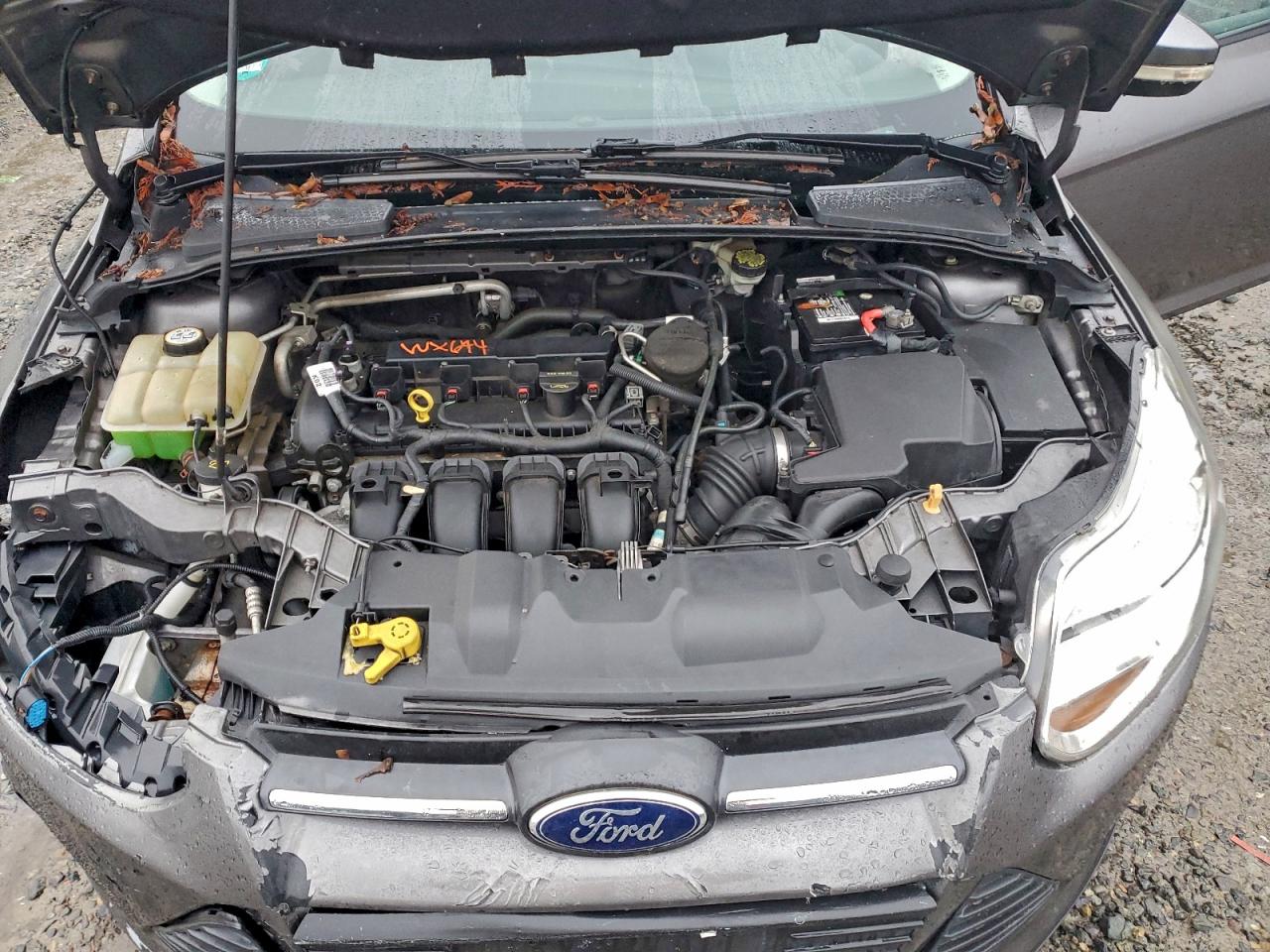 2013 FORD FOCUS SE photo 11