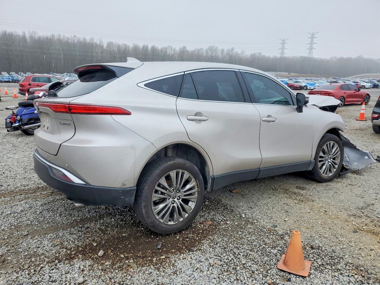 2024 TOYOTA VENZA LIMITED photo 3