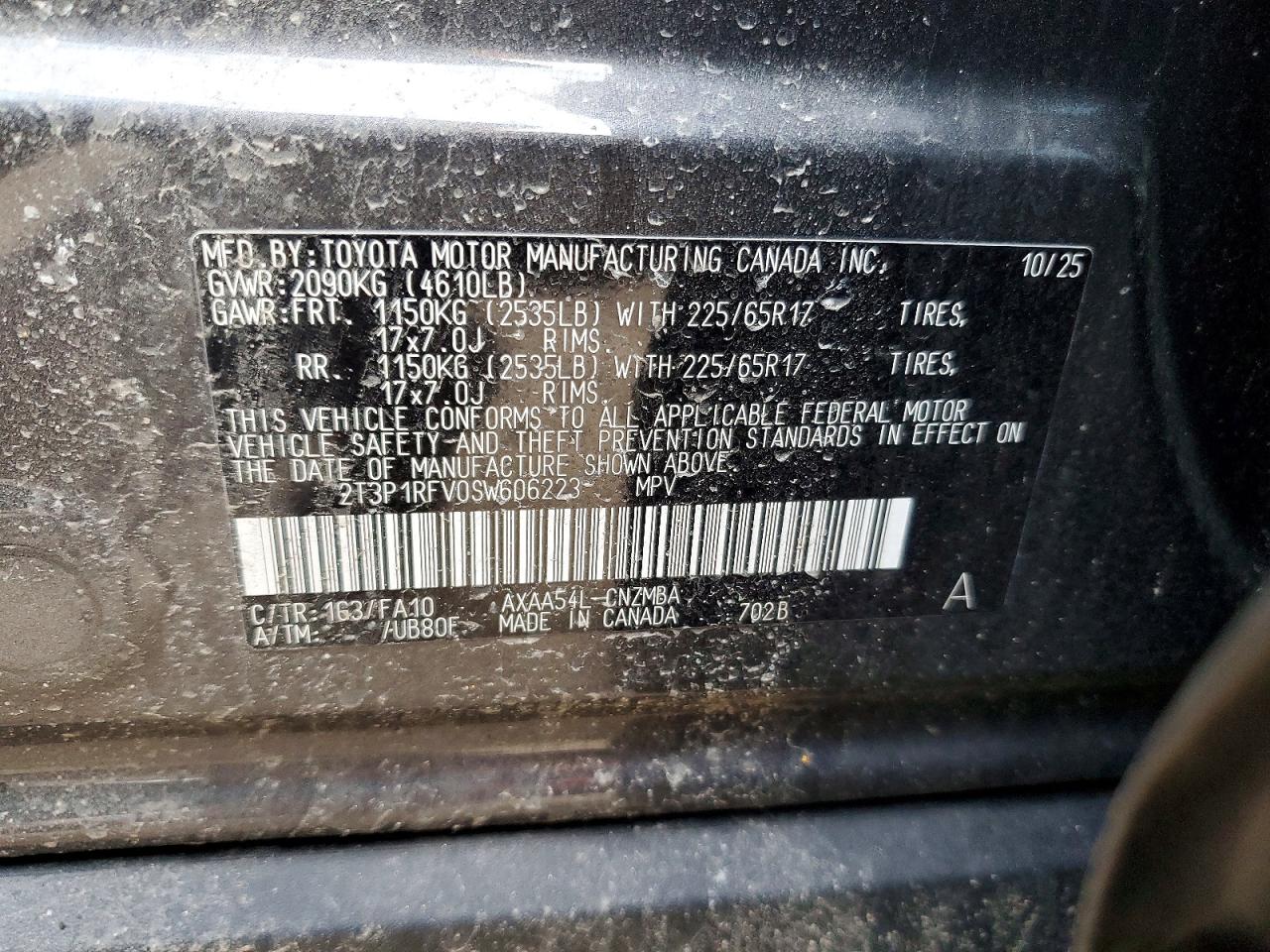2025 TOYOTA RAV4 XLE photo 13