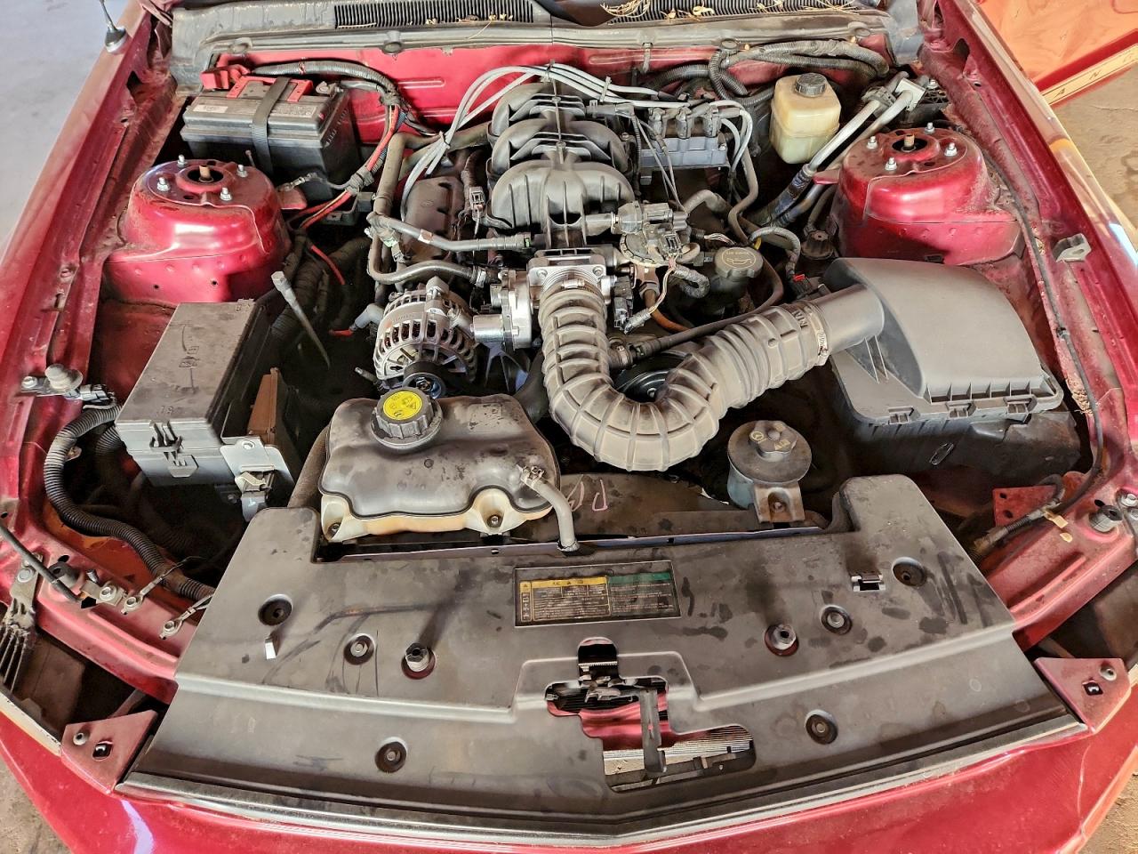 2007 FORD MUSTANG photo 11