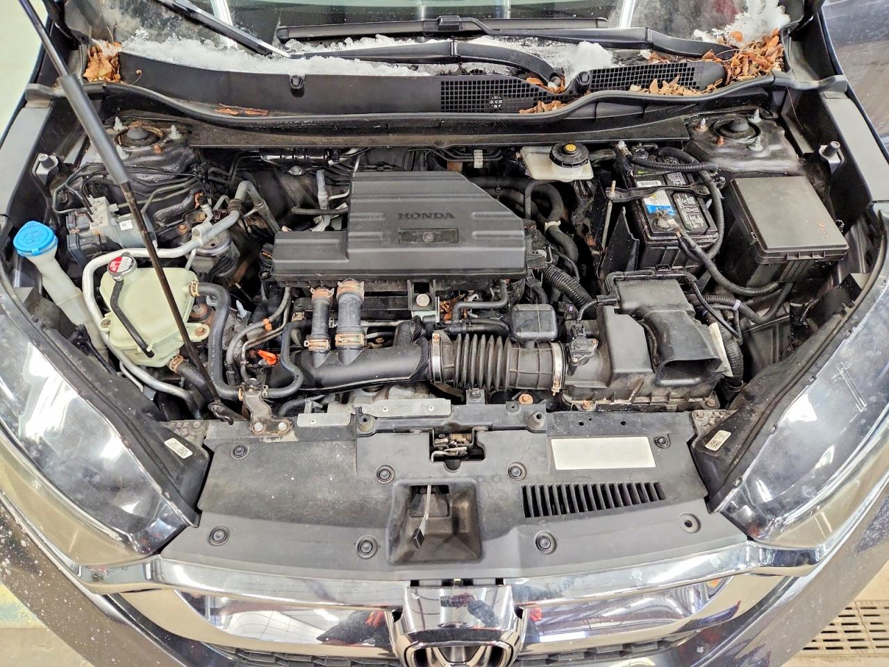 2017 HONDA CR-V EX photo 12