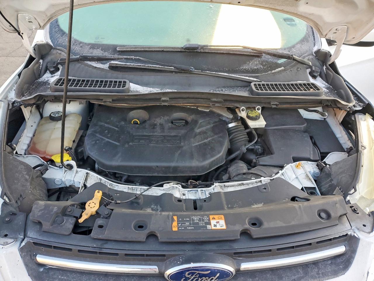 2013 FORD ESCAPE SE photo 12