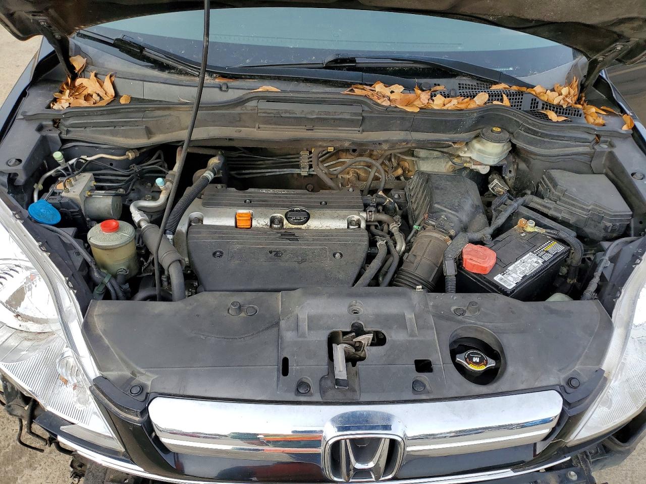 2007 HONDA CR-V EX photo 12