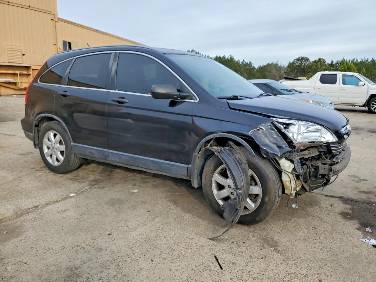 2007 HONDA CR-V EX photo 4