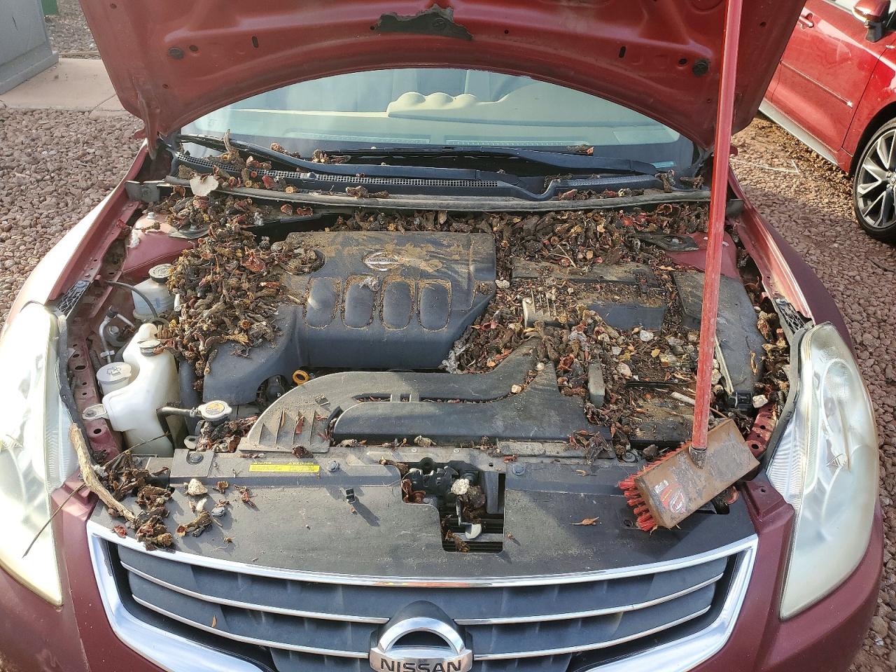 2011 NISSAN ALTIMA BASE photo 11